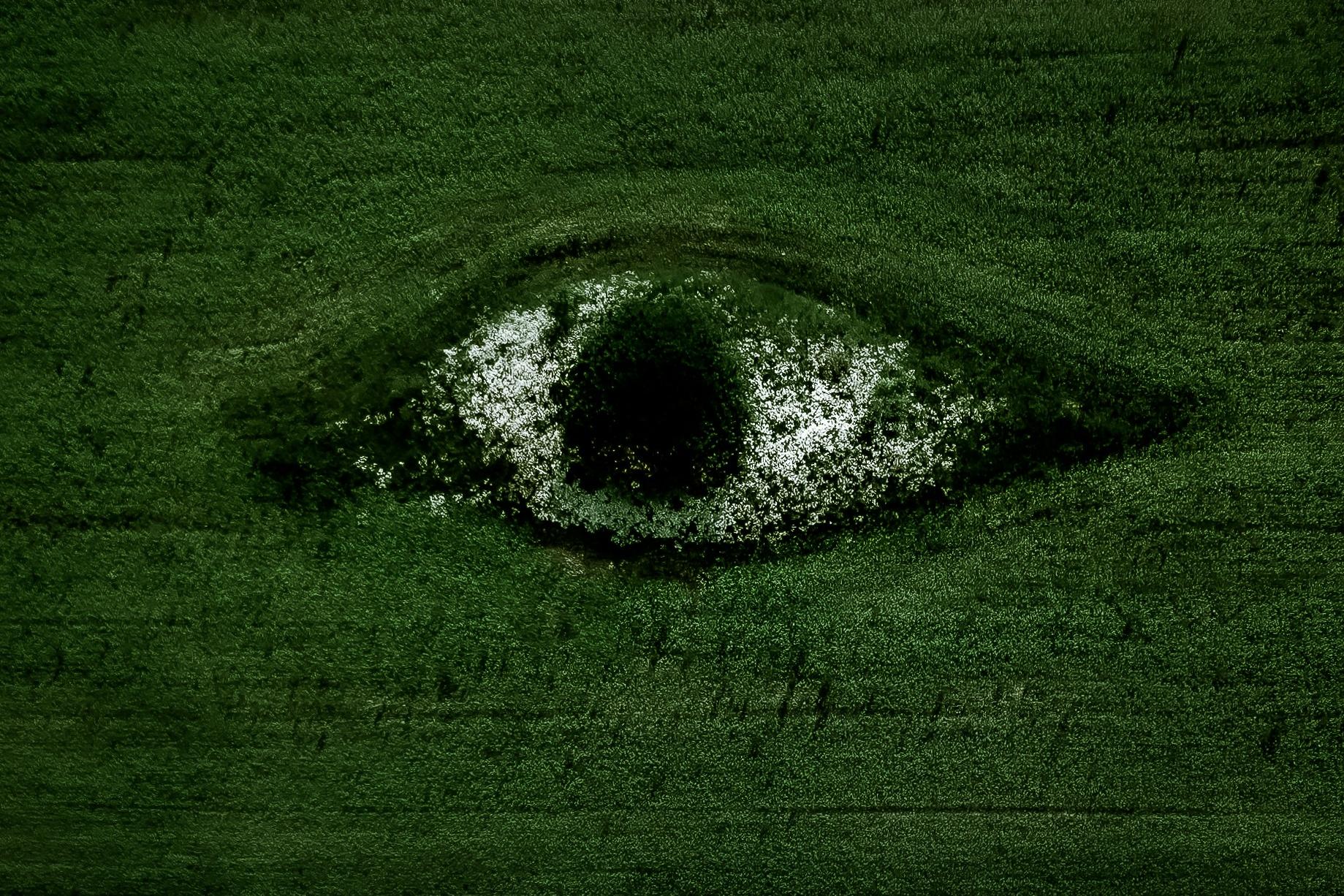 聚氨酯泡沫：从开创性材料到闭环回收的现代挑战